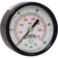 Economy Pressure Gauge, 2" , 0 - 160 psi, Back Mount, Analogue The Estey Group