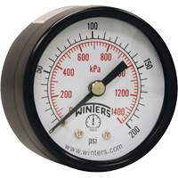 Economy Pressure Gauge, 2" , 0 - 200 psi, Back Mount, Analogue The Estey Group