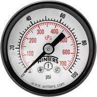 Economy Pressure Gauge, 1-1/2" , 0 - 100 psi, Back Mount, Analogue The Estey Group