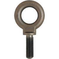 Eye Bolt, 3/4" Dia., 1" L, Uncoated Natural Finish, 650 lbs. (0.325 tons) Capacity The Estey Group
